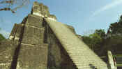 tikal_temple_2a.jpg (28136 bytes)